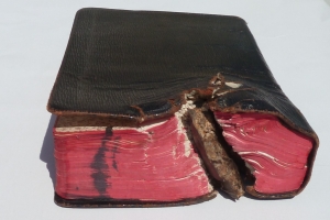 Kurt Geilers Bibel