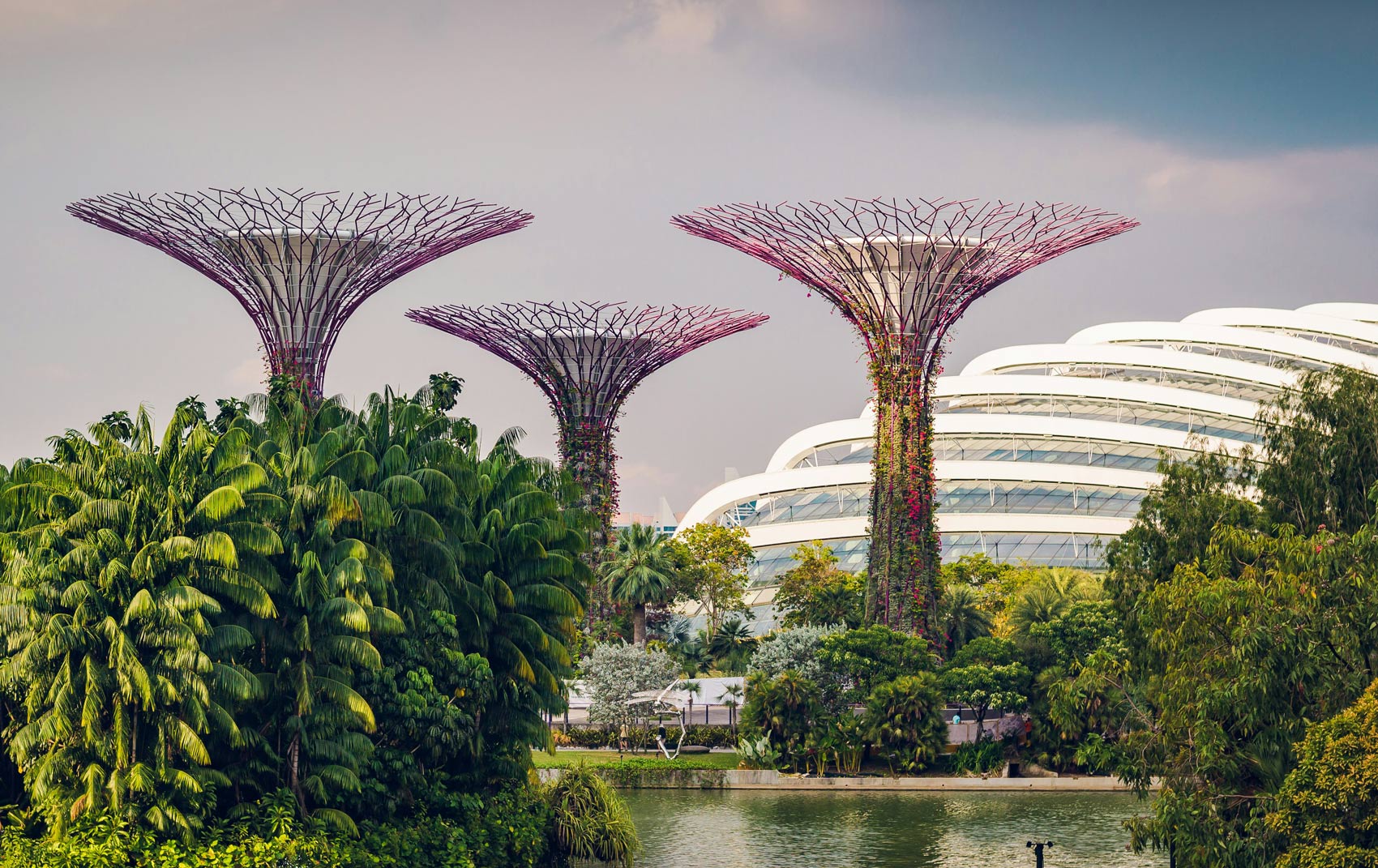 Das Bild zeigt die Gardens by the Bay in Singapur
