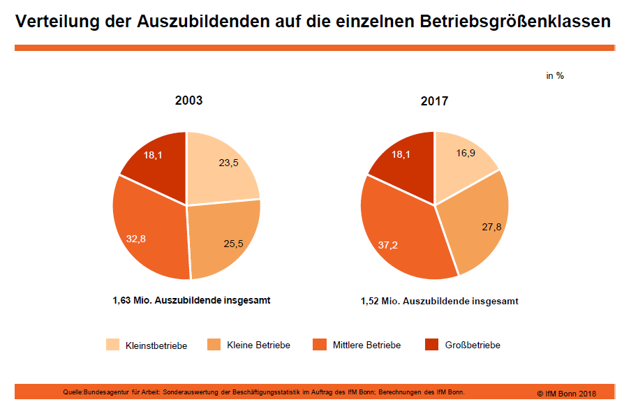 Verteilung der Auszubildenden auf die einzelnen Betriebsgrößenklassen